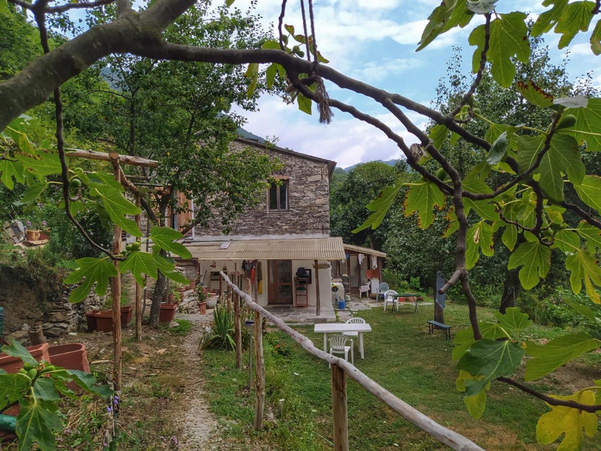 B&B Stefano Neirone Exterior foto